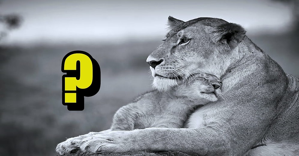 Kahve İçmeyi Bırakmak Dahil Hamile Olabileceğinizin 7 Şaşırtıcı Belirtisi