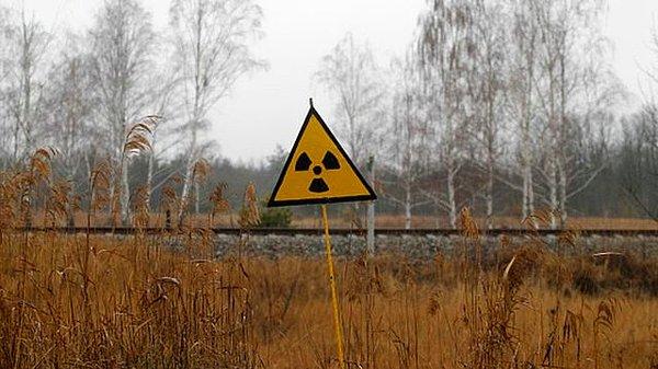 'Ülkedeki nükleer santraller kazara vurulabilir'