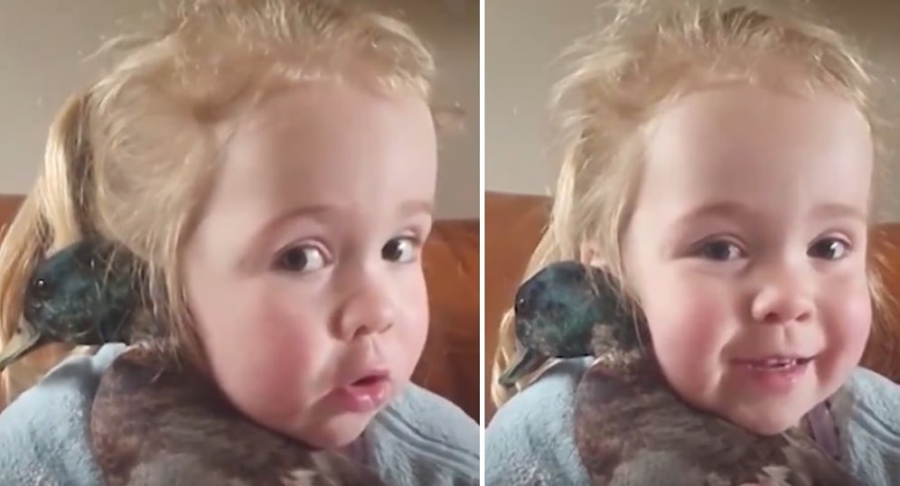 Ördeğin Kendisiyle Çizgi Film İzlemek İstediğini İddia Eden Ufaklığın Sevimlilik Patlaması Yaşadığı Anlar