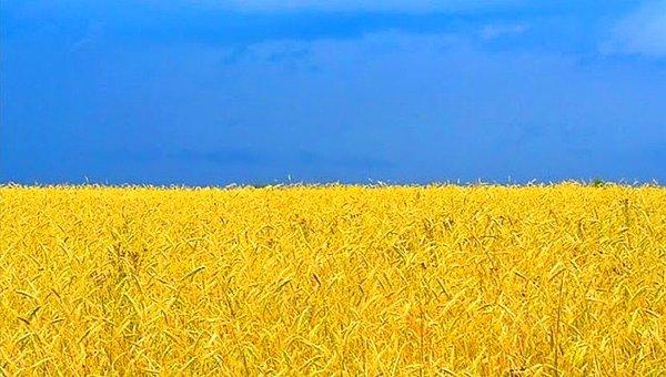 Bu başlık altında Ukrayna, gezegendeki en önemli ve verimli tarım topraklarından bazılarına sahip, yani Stalin'in bu politikasından en çok etkilenen yer.