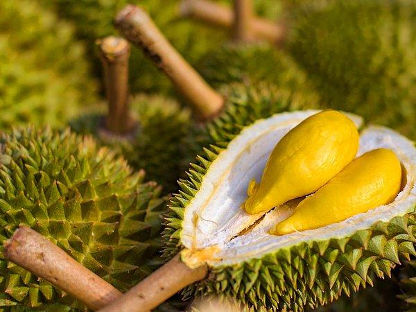 1. Geldik listenin kazananı olan dünyanın en kötü kokan yiyeceğine: Durian, güneydoğu Asya'da bulunan bir tür sert kabuklu bir meyve. Çürük soğanla karıştırılmış keskin bir krem peyniri gibi kokan bu meyvenin yanında durmak bile büyük maharet!