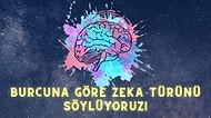 Burcuna Göre Zeka Türünü Söylüyoruz!