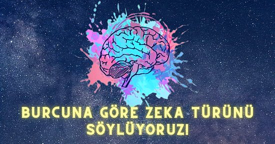 Burcuna Göre Zeka Türünü Söylüyoruz!