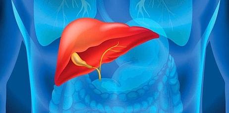 Karaciğer Yağlanması Nedir? Belirtileri ve Tedavisi…