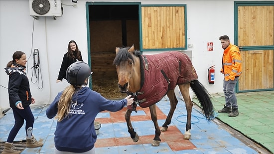 Bak Sen Şu Kuki'ye: Şampiyon At Kuki Kilidini Kendi Açabiliyor