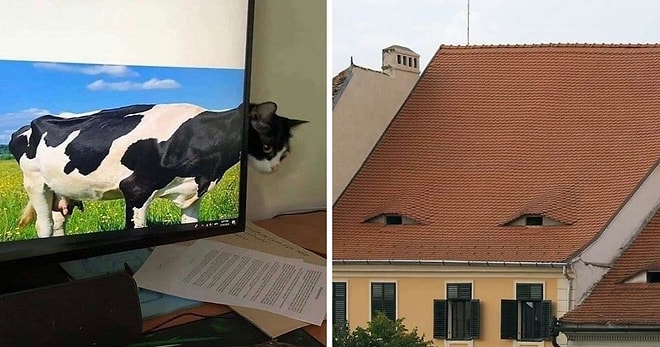 Группа в Facebook посвящена неэстетичным фотографиям, и вот 13 худших из них