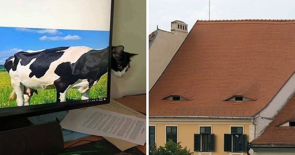 Группа в Facebook посвящена неэстетичным фотографиям, и вот 13 худших из них