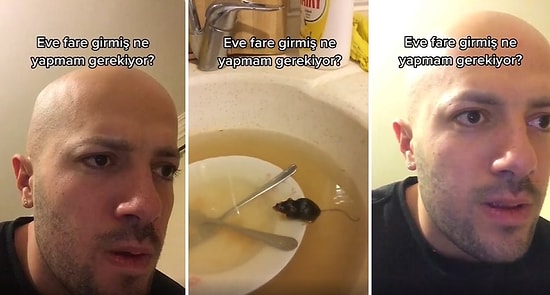 Ev Artık Onun Diyebilir miyiz? Mutfak Lavabosunda Fareyle Karşılaşan Adamın Çaresiz Anları