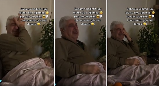 Çok Sevdiği Kedi Dostu Lupi 'İlerde Bir Gün Ölürse' Diye Gözyaşlarına Boğulan Adam