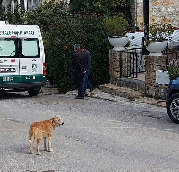 Akrep Nalan'ın köpeği Lucy ise olanlardan habersiz evin kapısında sahibini bekliyor.