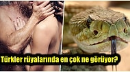 Sevişen de Var Yılan Avına Çıkan da! Dünyanın Dört Bir Köşesindeki İnsanların Gördüğü En Yaygın Rüyalar