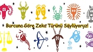Burcuna Göre Zeka Türünü Söylüyoruz!