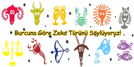 Burcuna Göre Zeka Türünü Söylüyoruz!