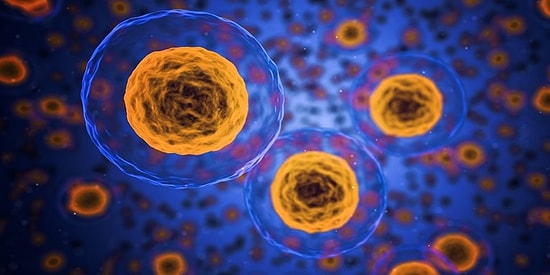 Korkut Ulucan Yazio: Gençliğin Sırrı Hücre Detoksu