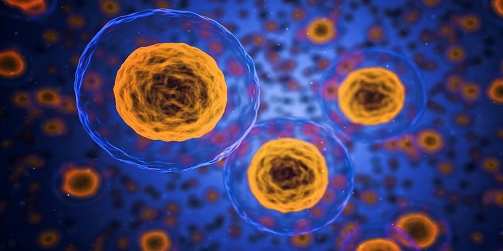 Korkut Ulucan Yazio: Gençliğin Sırrı Hücre Detoksu