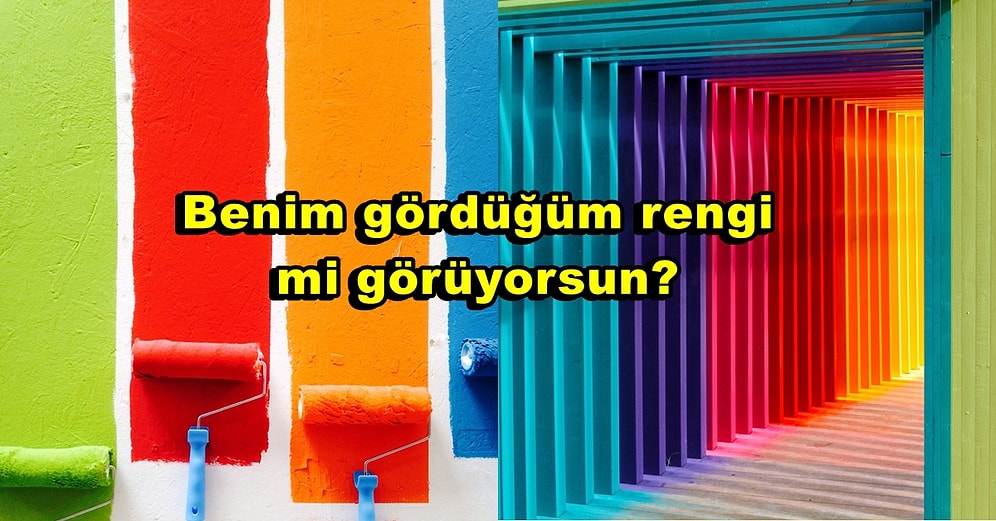 Kafaları Yakan Sorulara Yine Bilim Cevap Veriyor: Herkes Renkleri Aynı mı Görür?