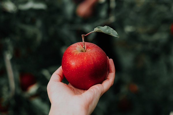 Renkleri toplumda isimlendirildikleri şekilde öğrendik. Fakat bu isimler, gerçekte gördüğümüz renklerden farklı ve bağımsız olabilir.