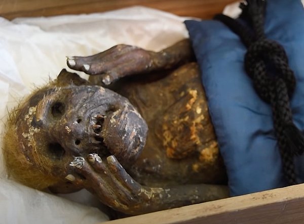1736-41 arasında okyanusta bulunan ve bir deniz kızı mumyası olduğuna dair yanına bir de not iliştirilen yaratık şu an tam 300 yaşında!