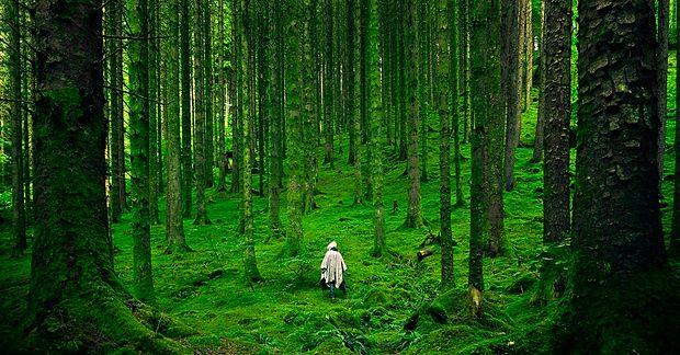 Bir Anda Sizi Issız Bir Ormanda Yürüyormuş Gibi Hissettirebilecek 12 Dinginleştirici Parça