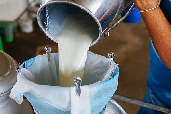 Süt fiyatlarında üretim düştü