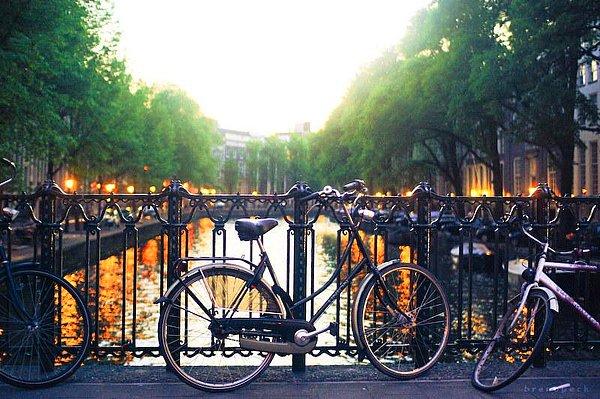 9. Hollanda - “Tüm Hollandalıların Amsterdam’da yaşadığını düşündüğünüz bir cümle kurun.”