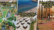 Açık Havada Maskesiz Gezme Keyfini Özleyenler Buraya: İstanbul'da Gidebileceğiniz En Güzel Tabiat Parkları