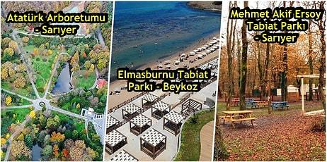 Açık Havada Maskesiz Gezme Keyfini Özleyenler Buraya: İstanbul'da Gidebileceğiniz En Güzel Tabiat Parkları