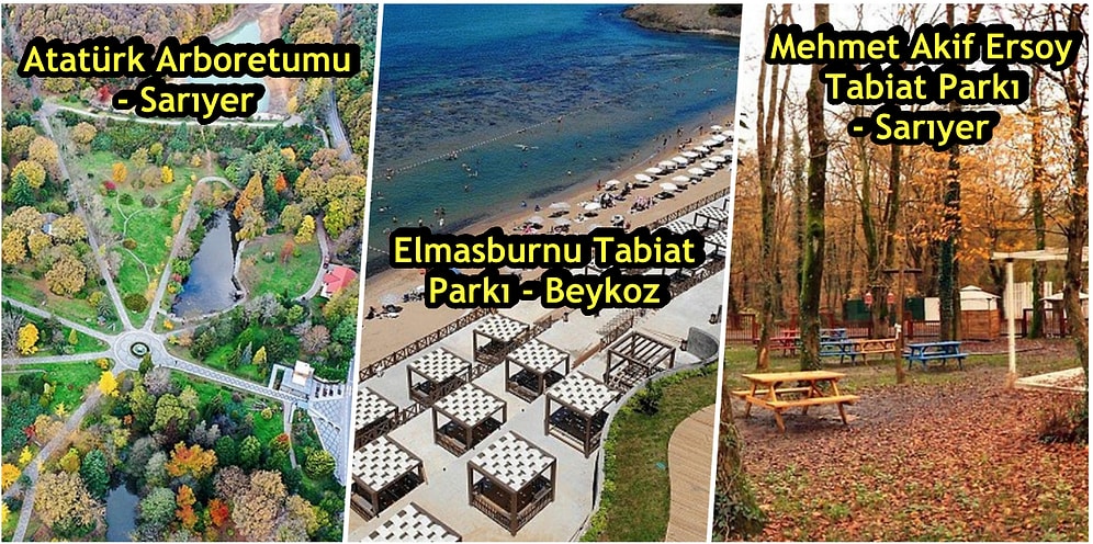 Açık Havada Maskesiz Gezme Keyfini Özleyenler Buraya: İstanbul'da Gidebileceğiniz En Güzel Tabiat Parkları
