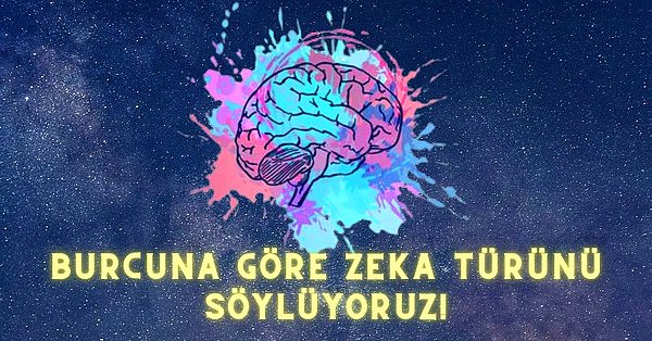 17. Burcuna Göre Zeka Türünü Söylüyoruz!