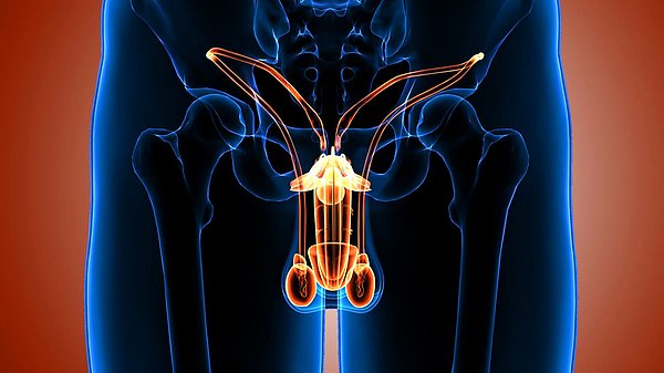 İnmemiş Testis Nedir?