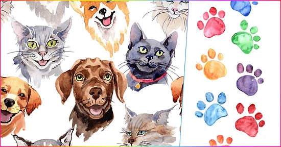 İddialı Test: Evcil Hayvanının Adını Tahmin Ediyoruz!