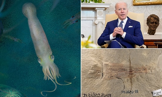 Yeni Keşfedilen Vampir Kalamar Türüne ABD Başkanı Biden'ın İsmi Verildi!