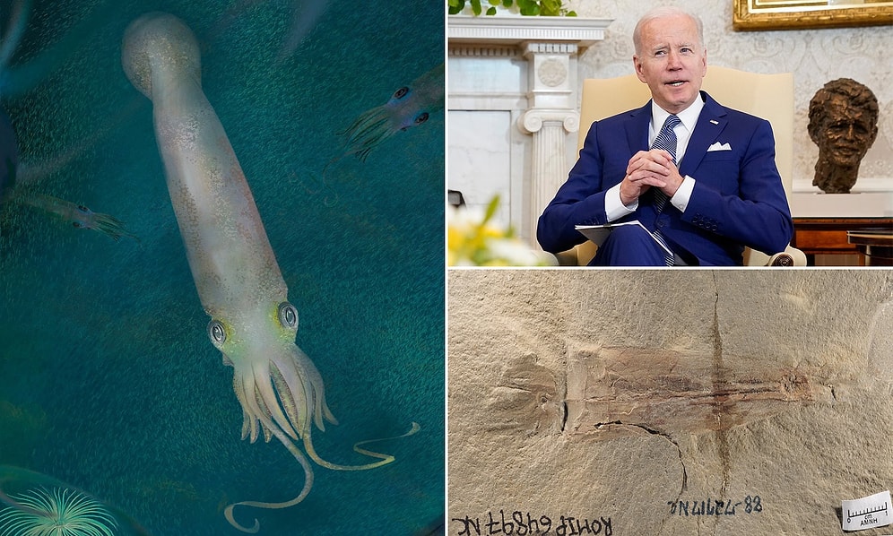 Yeni Keşfedilen Vampir Kalamar Türüne ABD Başkanı Biden'ın İsmi Verildi!