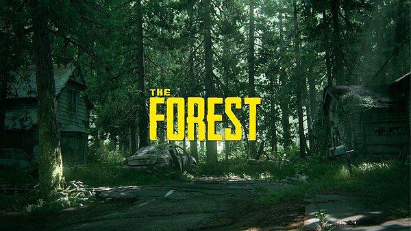6. The Forest