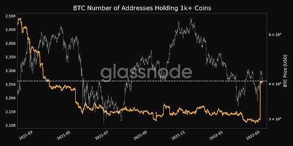 Bitcoin'in değeri nispeten düşse de bu düşüş cüzdanlara yansımadı.