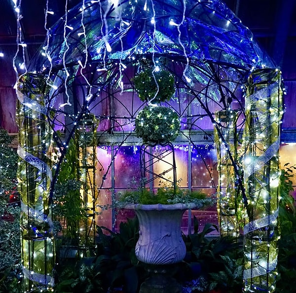 12. Я живу в районе Чикаго под названием Гриктаун в течение 8 лет и никогда не понимал, что сине-белые рождественские огни должны представлять цвета на их флаге. Меня только сегодня осенило.