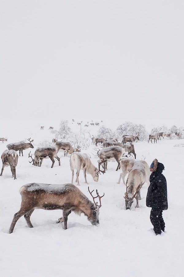 10. Лаксельв, Норвегия