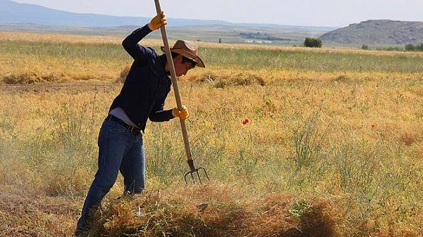 Artan fiyatlar üreticileri de zorluyor