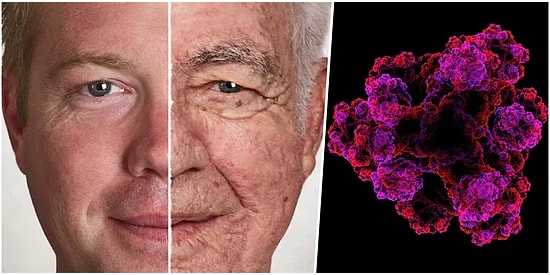 Hayatın Bir Gerçeği Olarak Kabul Ettiğimiz Ancak Sebebini Bilmediğimiz İlginç Süreç: Yaşlanma!