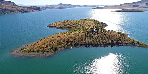 Adayı tek başına yeşile çeviren gerçek bir kahraman!