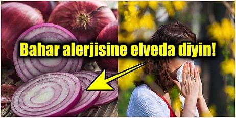 Bahar ve Polen Alerjisinin Yarattığı Burun Akıntısı ve Hapşırıkları Bu Gıdalarla Hafifletebilirsiniz
