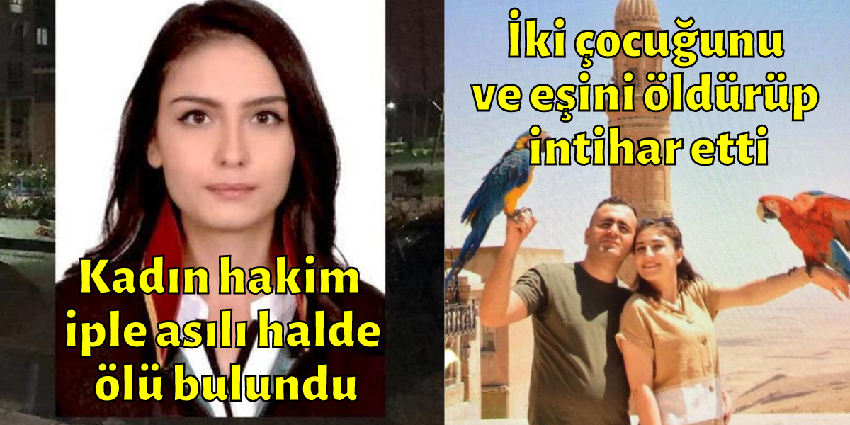 s-3842dd932c47d2ddb9999cd6841f1834ddb62c60.jpg