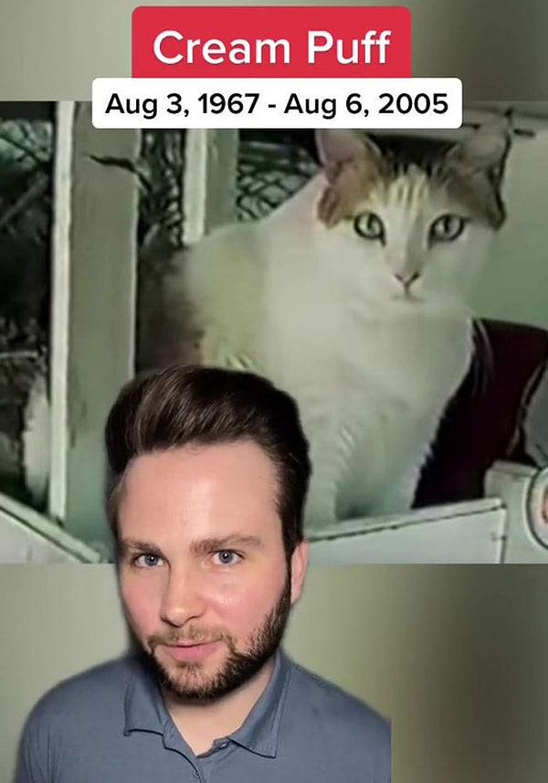 2. Cream Puff — самая старая кошка, которая когда-либо жила в истории, ей 38 лет и 3 дня.