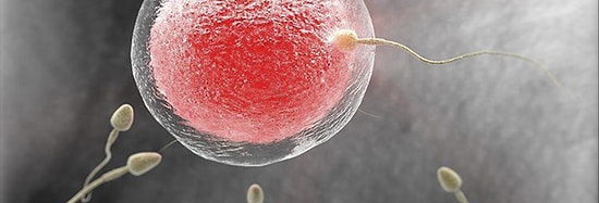 Tüp Bebek Öncesi Hangi Rutin Testler İstenir?