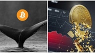 11 Yıl Önce 50 Dolar Değerinde Olan BTC Cüzdanı Uyandı: Şimdiki Değeri 20,2 Milyon Dolar!