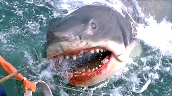 24. Jaws, filmin bir saat yirmi birinci dakikasına kadar tümüyle görünmüyor.