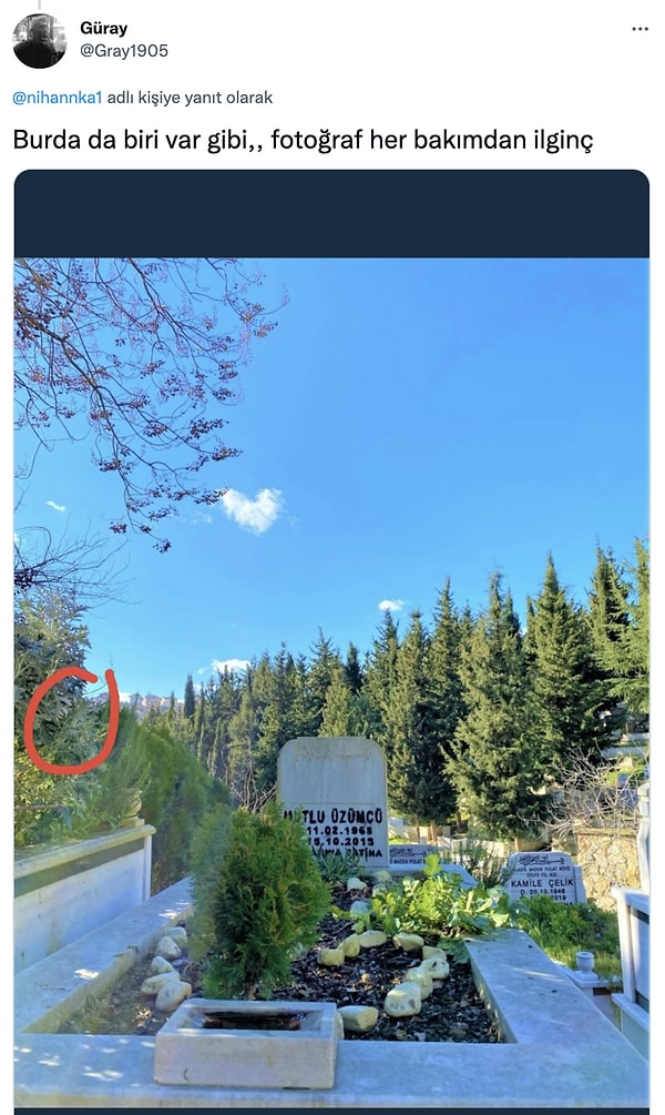 2. Ağaç: Ben ne alaka?