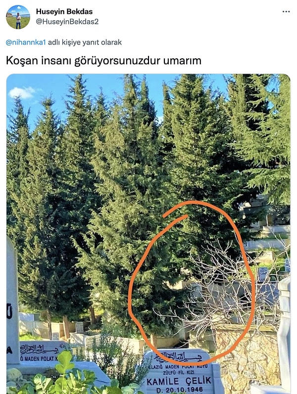 5. Görüyor musunuz?