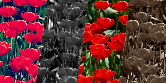 Bu Liste Her Moda Hizmet Ediyor: Modunuz Ne Olursa Olsun Dinleyebileceğiniz 13 Şarkı