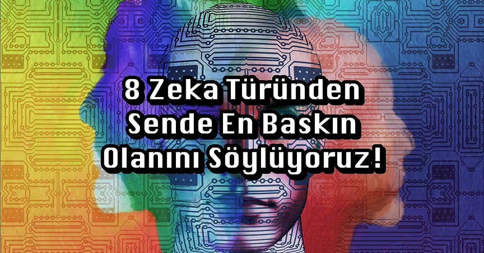 8 Zeka Türünden Sende En Baskın Olanını Söylüyoruz!